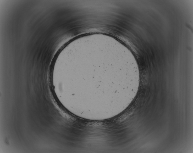 X0000097510991200803201611