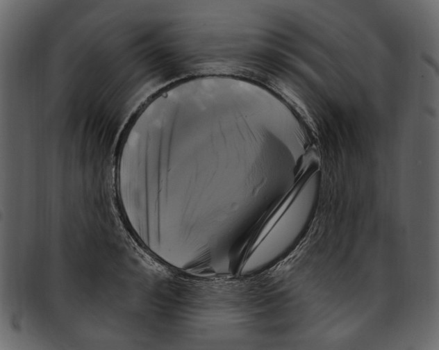 X0000097510992200803201611