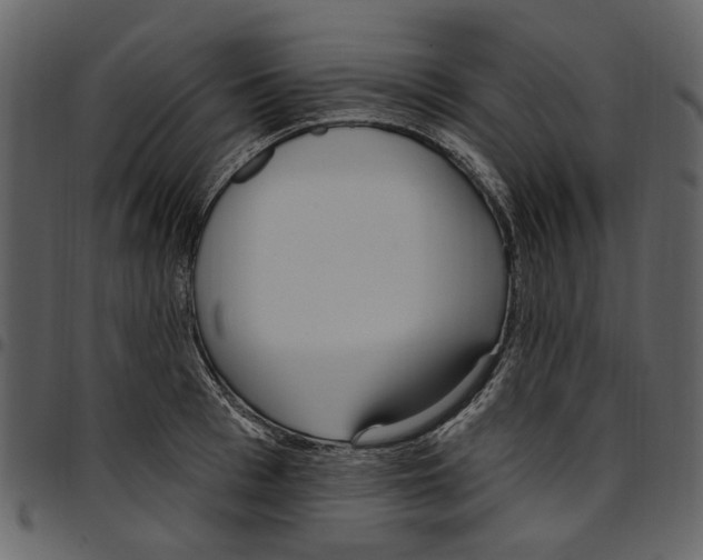 X0000097510993200803201611
