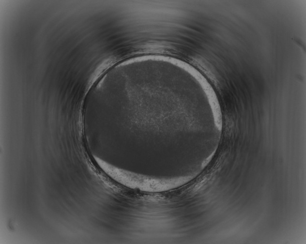 X0000097510994200803201611
