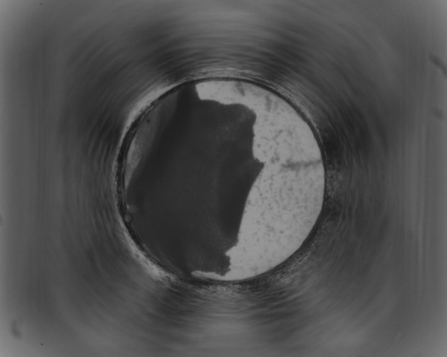 X0000097510995200803201611