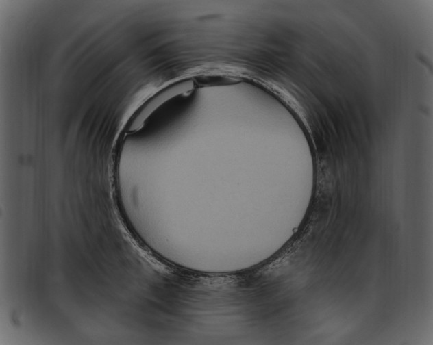 X0000097510997200803201611