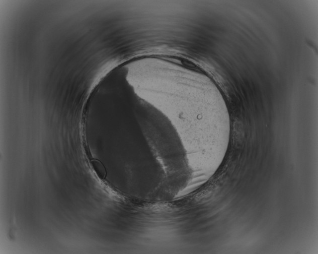 X0000097510998200803201611