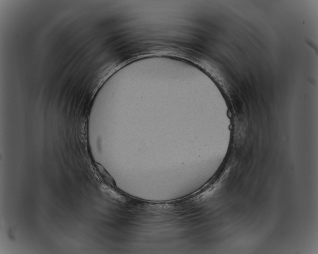 X0000097511001200803201611