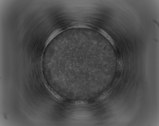 X0000097511002200803201611