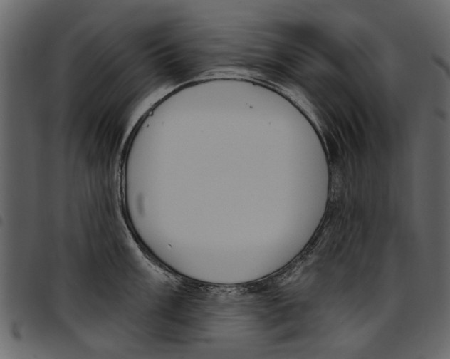 X0000097511003200803201611