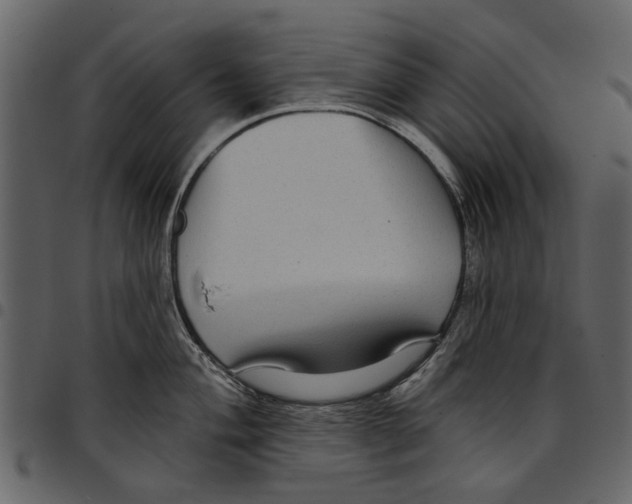 X0000097511004200803201611