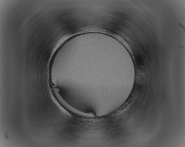 X0000097511005200803201611