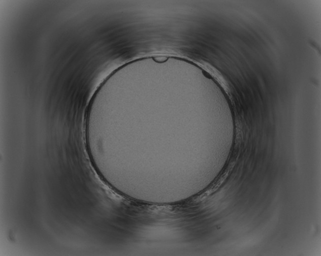 X0000097511006200803201611