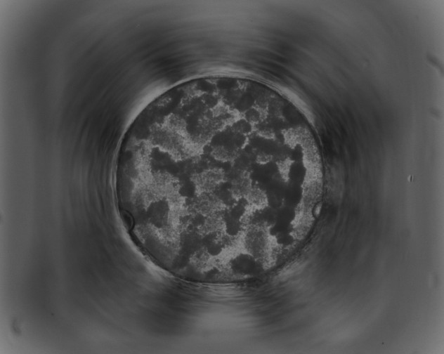 X0000097511007200803201611