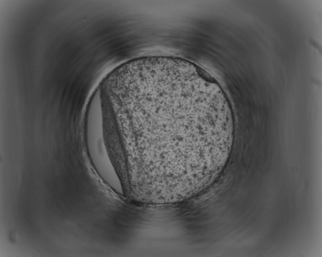 X0000097511008200803201611