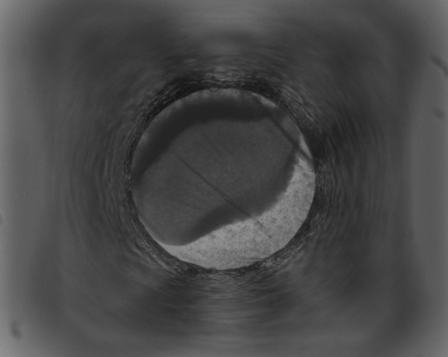 X0000097511009200803201610