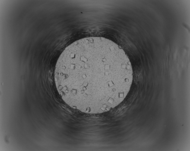 X0000097511010200803201610