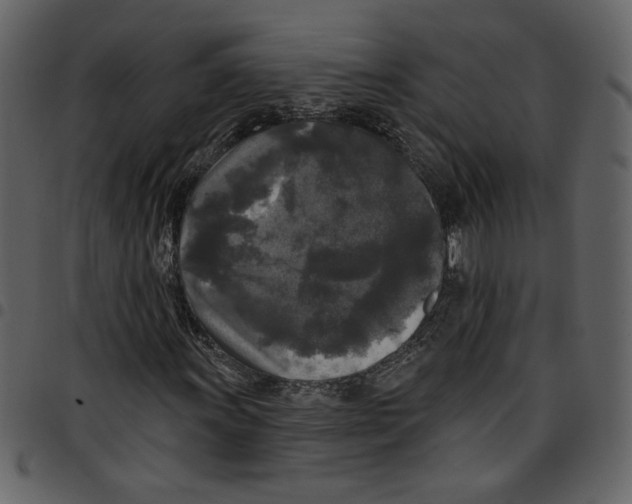 X0000097511011200803201610