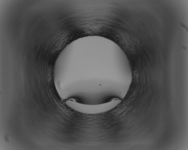 X0000097511012200803201610