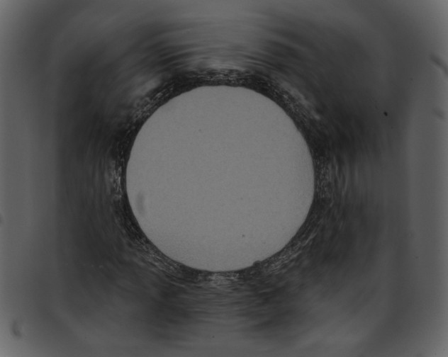 X0000097511013200803201610
