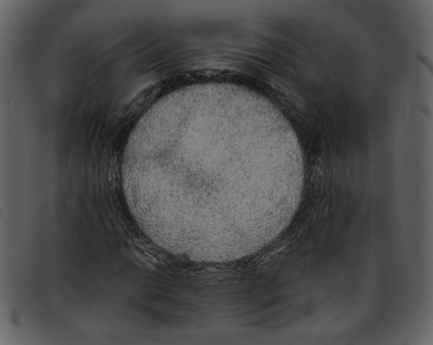 X0000097511014200803201610