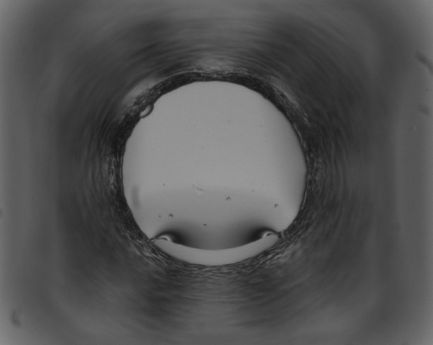 X0000097511016200803201611