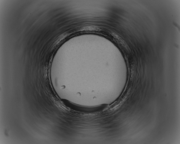 X0000097511017200803201611