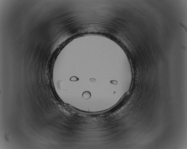 X0000097511018200803201611