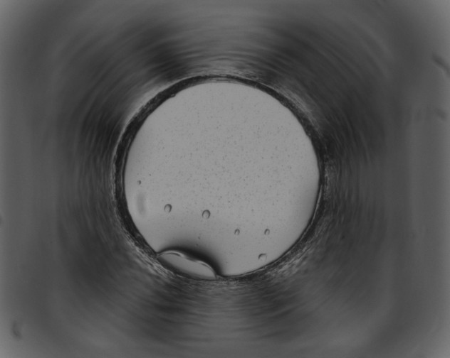 X0000097511020200803201611