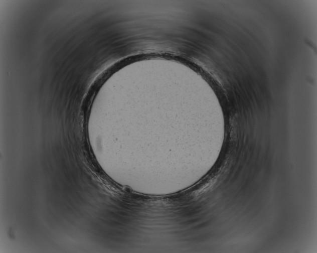 X0000097511021200803201611