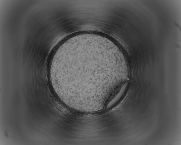 X0000097511022200803201611