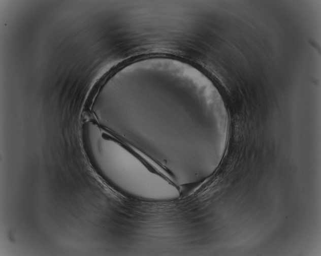 X0000097511024200803201611