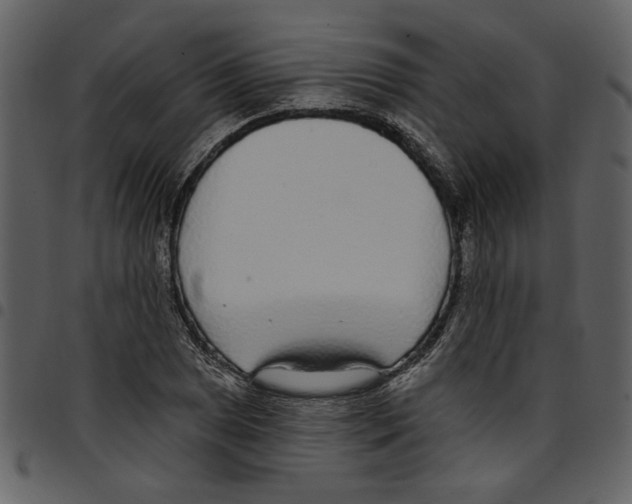 X0000097511025200803201611