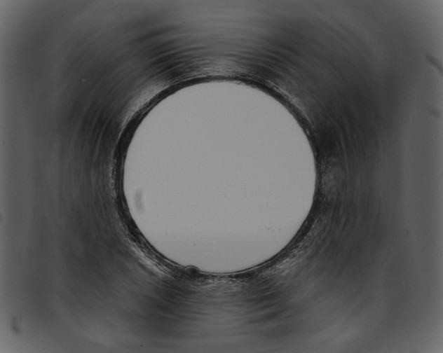 X0000097511026200803201611