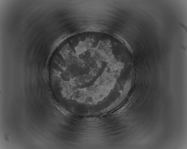 X0000097511027200803201611