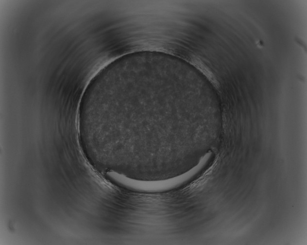 X0000097511028200803201611