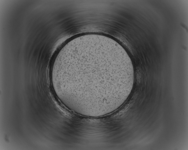 X0000097511030200803201611