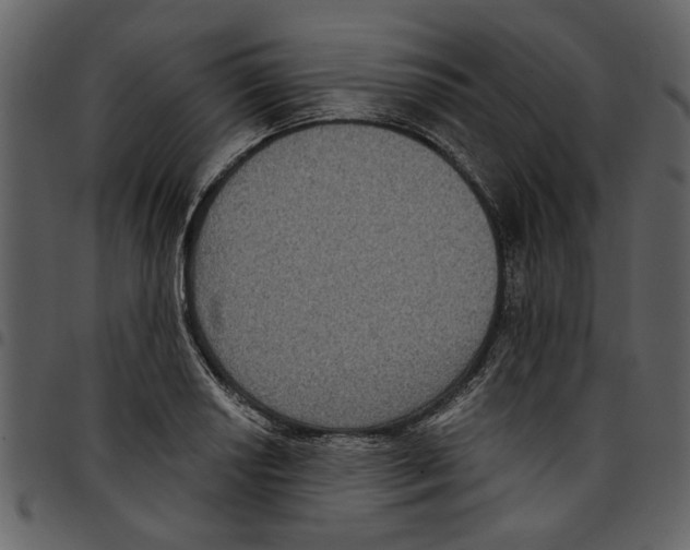 X0000097511034200803201611