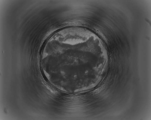 X0000097511035200803201611