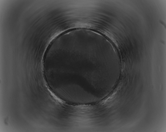 X0000097511037200803201611