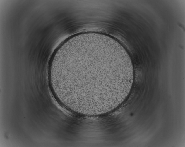 X0000097511038200803201611