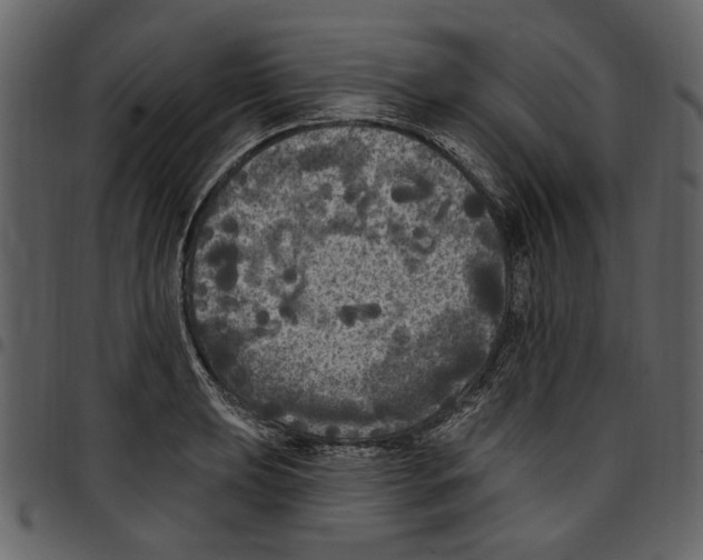 X0000097511039200803201611