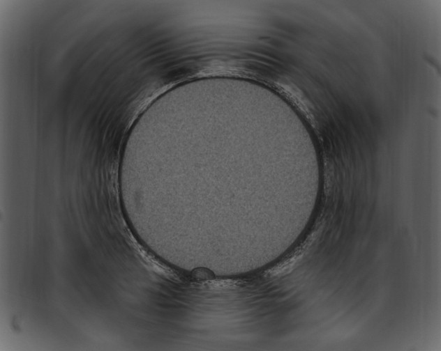 X0000097511041200803201611