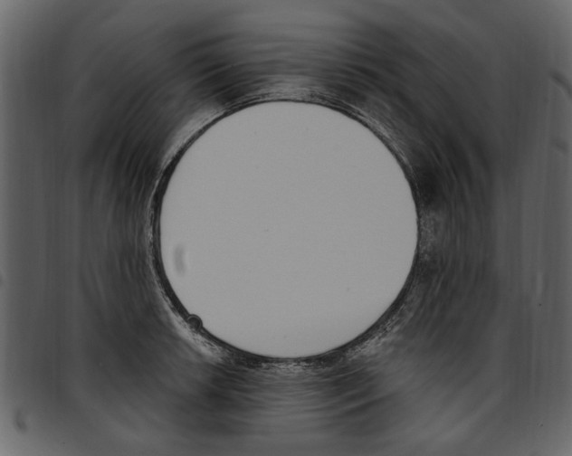 X0000097511042200803201611