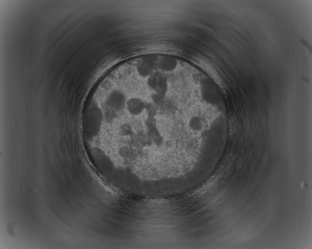 X0000097511043200803201611