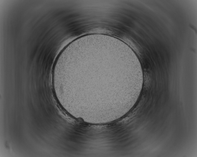 X0000097511044200803201611