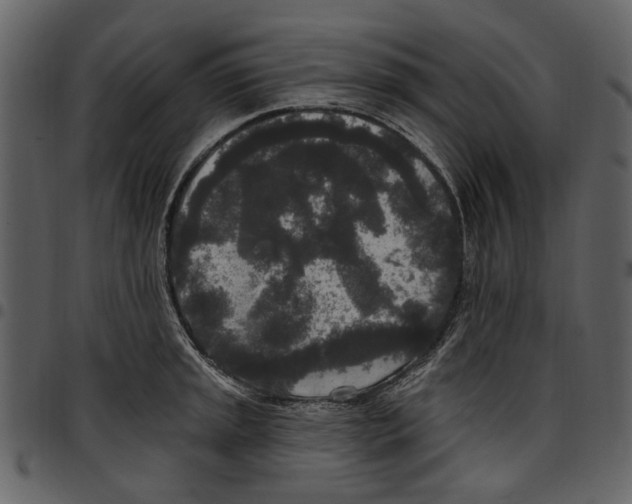 X0000097511045200803201611