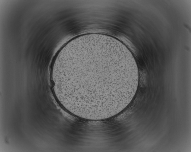 X0000097511046200803201611