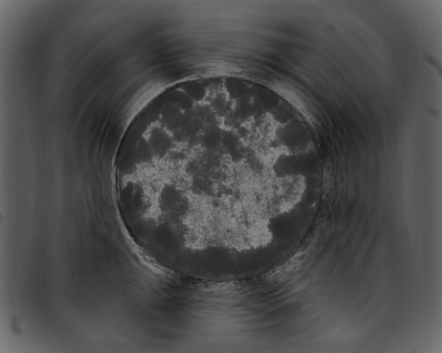 X0000097511047200803201611