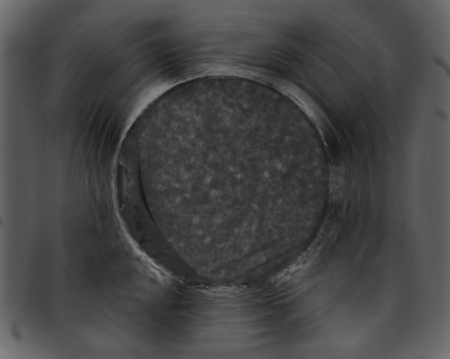 X0000097511048200803201611