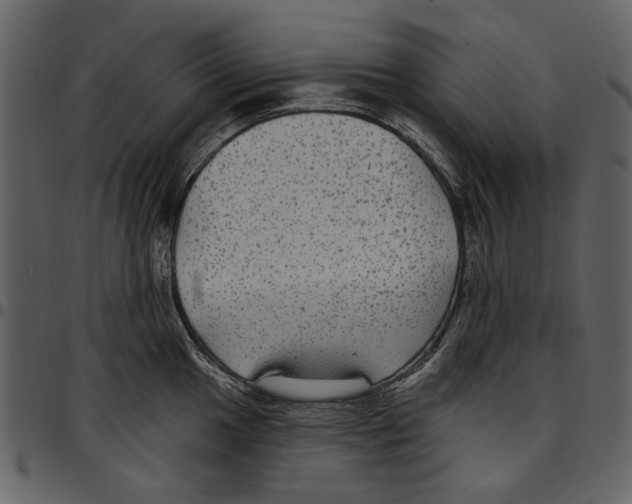 X0000097511049200803201611