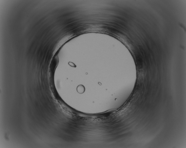 X0000097511050200803201611