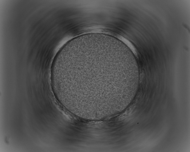 X0000097511051200803201611