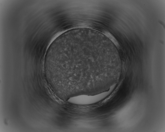 X0000097511052200803201611